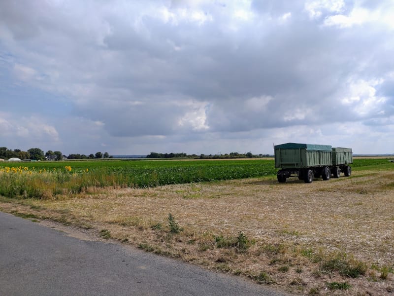 12tel Blick: Juli 2025