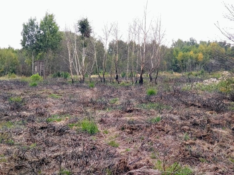 Drover Heide 2025