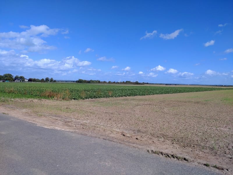 12tel Blick: September 2025