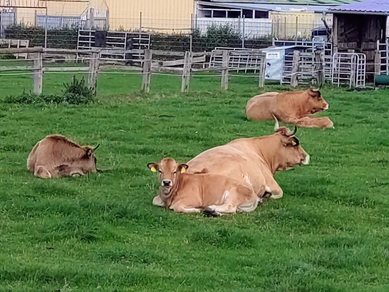 Nature Thursday 2025 - KW 38