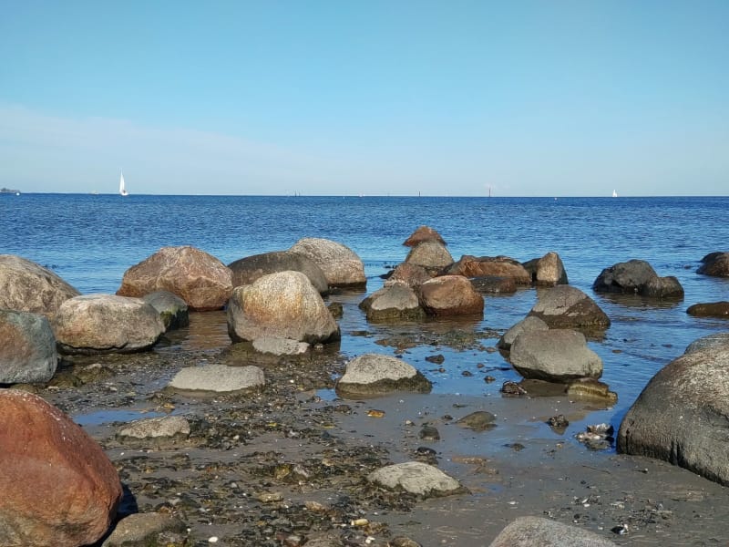 Kieler Förde