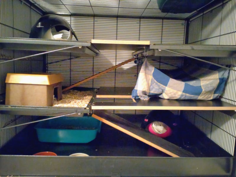 12 von 12: November 2025