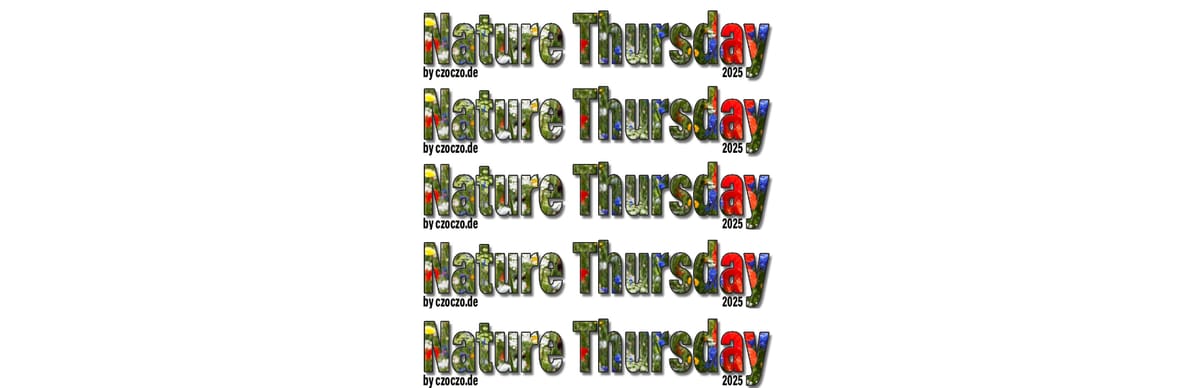 Nature Thursday 2025 - KW 23