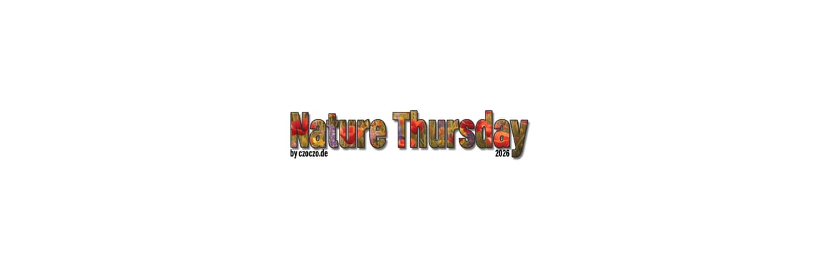 Nature Thursday 2026: KW 03