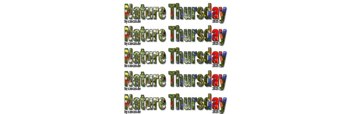 Nature Thursday 2025 - KW 23