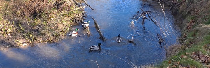Naturerleben im Februar