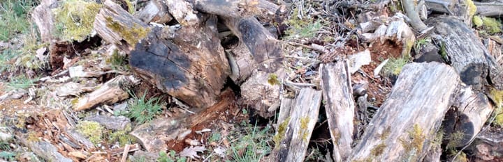 Projekt: Ökologische Gartengestaltung - Teil 1