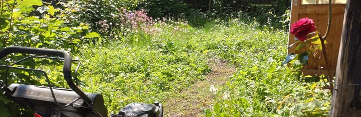 Gartengestaltung - Rückblick Mai